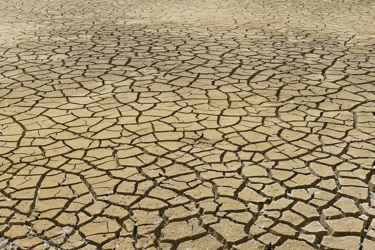 The Impact of Climate Change on Personal Safety